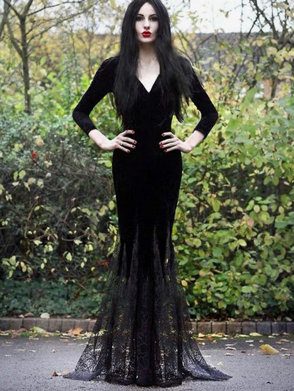 Morticia Dress & Wig